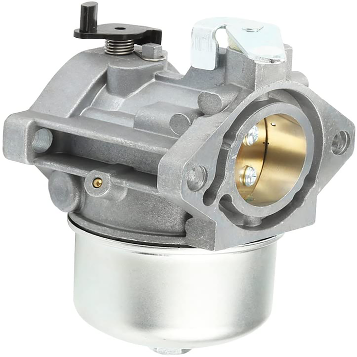 Carburetor for Briggs & Stratton 690119, 694526