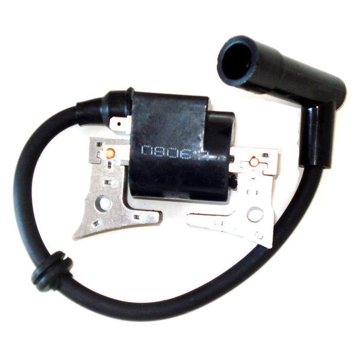 Ignition Coil Spark Plug Pack for Robin EX13 EX17 EX21 SP170 277-79431-01, 20A-79431-01