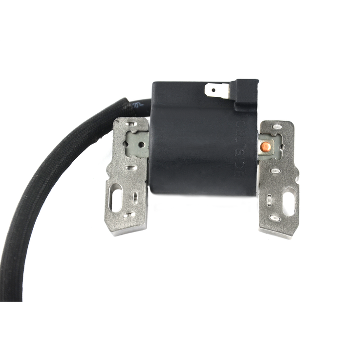 Ignition Coil for Briggs & Stratton 799650, 795315