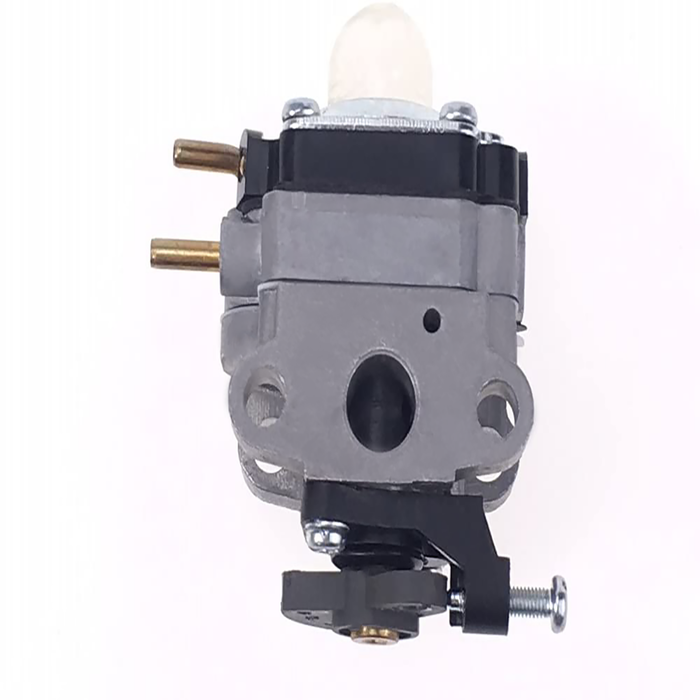 Carburetor for Troy-Bilt TB4BP, TBP160 (753-06795)