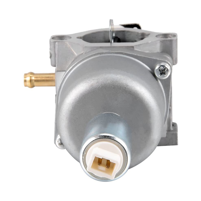 Carburetor for Briggs Stratton 791886, 695412