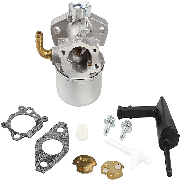 Carburetor for Briggs & Stratton 798653 697354 790290 698860