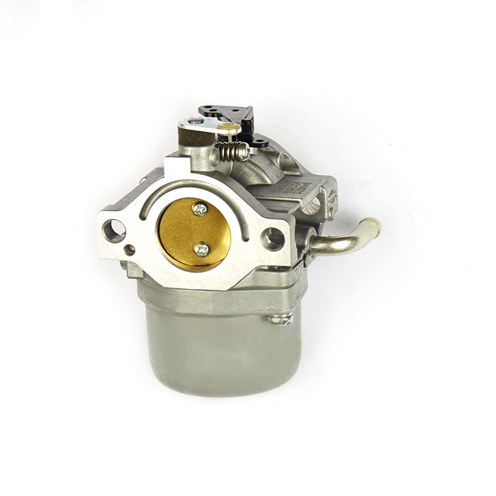Aazon.co: Lanigra 590399 796077 13CC26JD011 Carburetor Fit For 799245 21A707 21R707 21R777