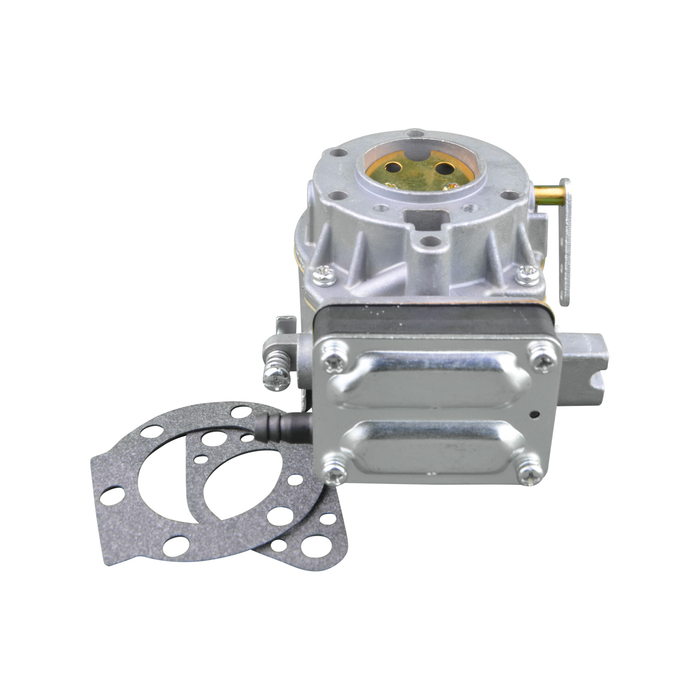 Carburetor for Briggs & Stratton 397245, 399623, 491427, 491429, 495026, 495181, 693480