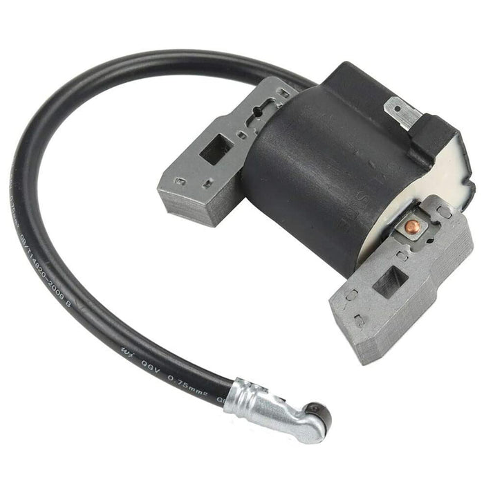 Ignition Coil Spark Plug Pack for Briggs & Stratton 298316, 395491, 397358, 697037 RJ19LM