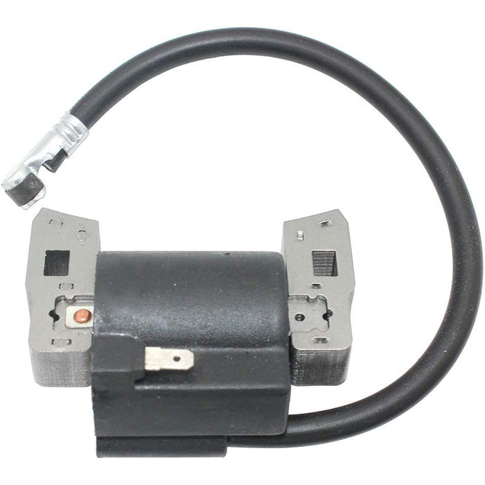 Ignition Coil Spark Plug Pack for Briggs & Stratton 298316, 395491, 397358, 697037 RJ19LM