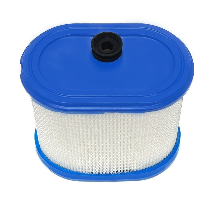 Air Filter for Briggs & Stratton 695302