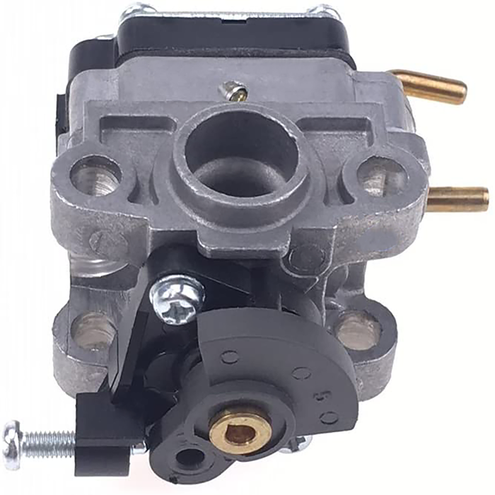 Carburetor for Troy-Bilt TB4BP, TBP160 (753-06795)